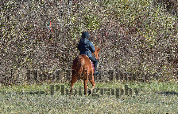 FairHillFallPC(11-30-24)0240