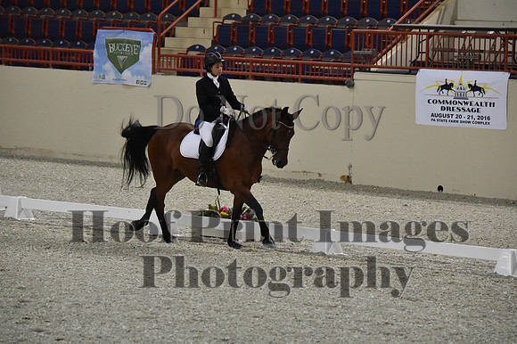 CWdressageII(8-21-16)1626