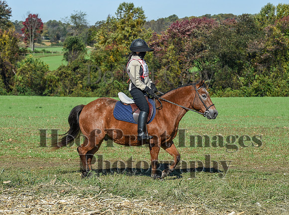 CheshirePC(10-18-20)0318