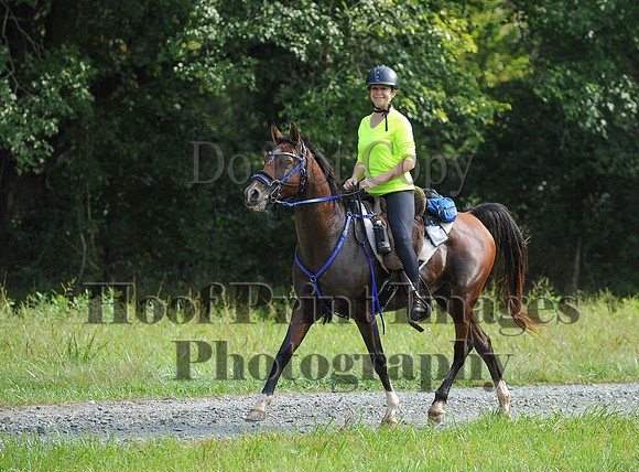 ChesapeakeCTR(9-20-14)0412