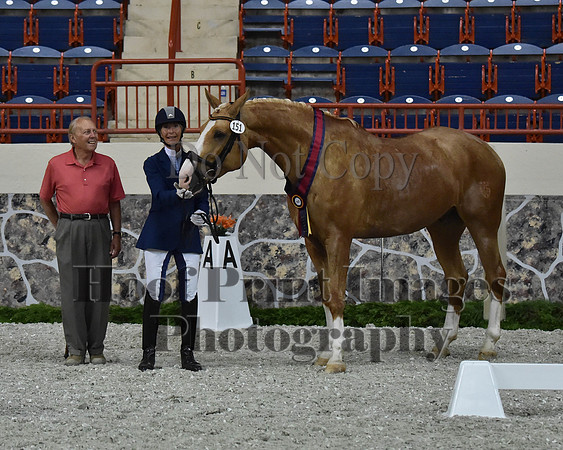 CWdressageII(8-21-16)1439