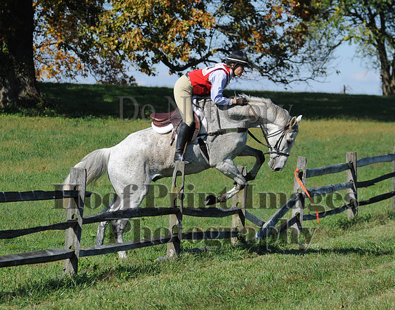 Cheshire(10-20-13)0155