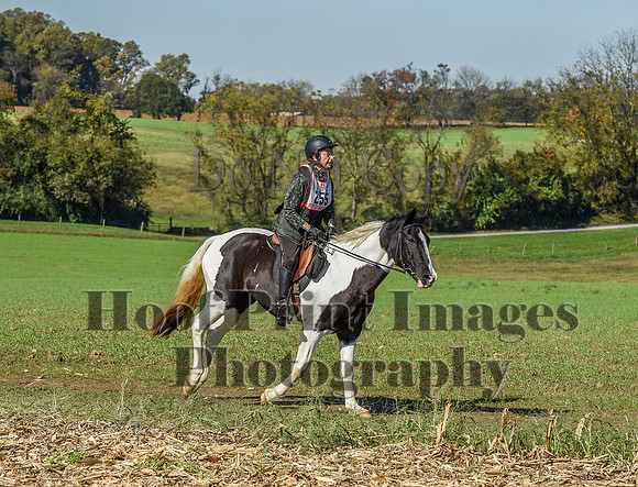 CheshirePC(10-18-20)0559