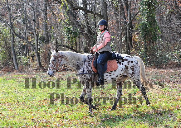 AndrewsBr(11-9-14)0547