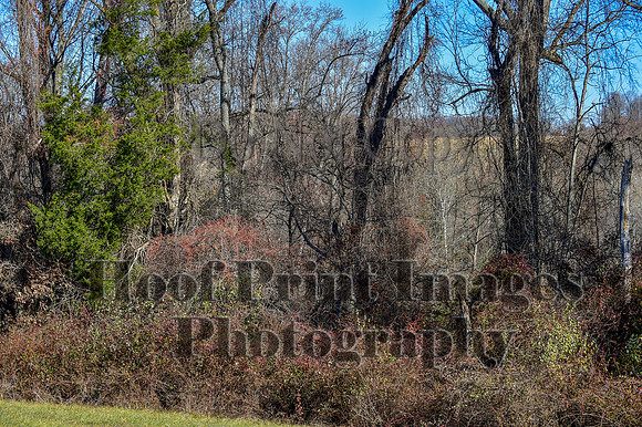 FairHillFallPC(11-30-24)0470