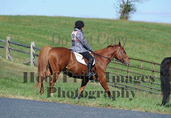 Cheshire(10-19-14)0085