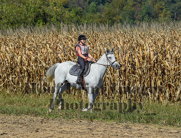 CheshirePonyClubPC(10-6-24)0154
