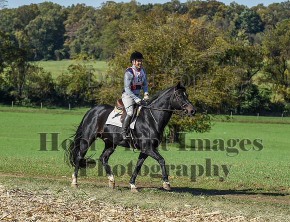 CheshirePC(10-18-20)0482