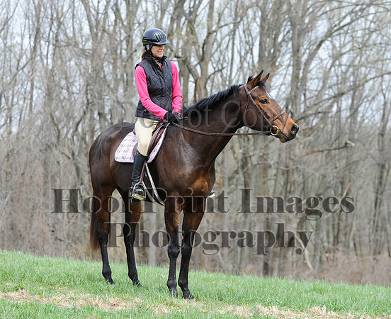 FairhillPC(4-18-14)0340