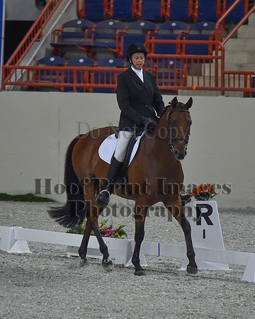 CWdressageII(8-21-16)1029