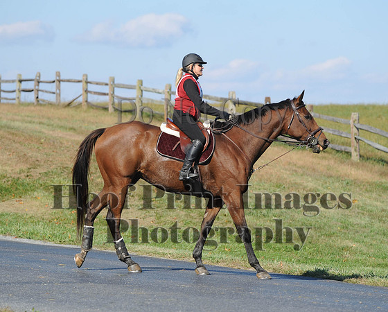 Cheshire(10-20-13)0712