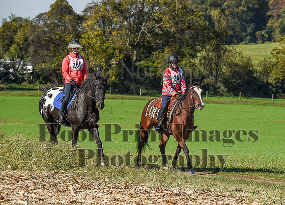 CheshirePC(10-18-20)0336