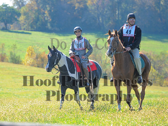 Cheshire(10-20-13)0575