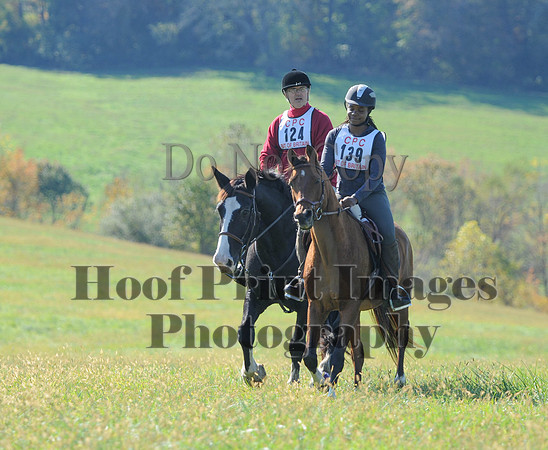 Cheshire(10-20-13)0308