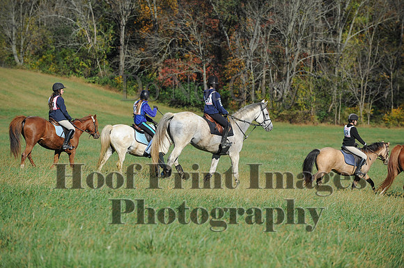 Cheshire(10-19-14)0363