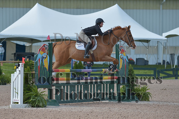 BRSa(5-17-14)HChAdJ0129