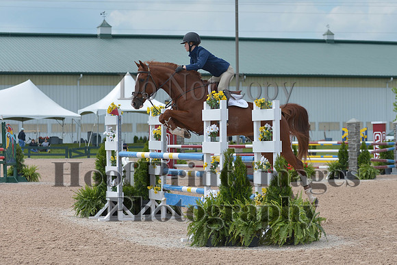 BRSa(5-17-14)HChAdJ0206