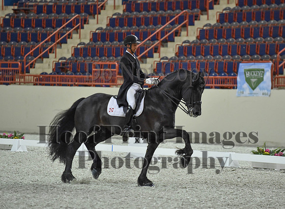 CWdressageI(8-20-16)1664