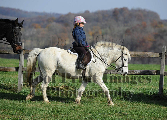 AndrewsBr(11-9-14)0155