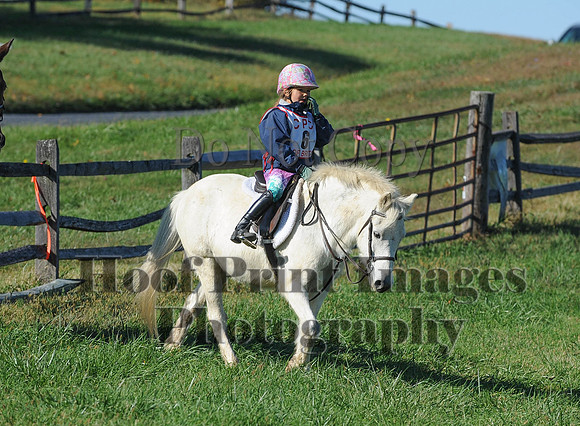 Cheshire(10-19-14)0408
