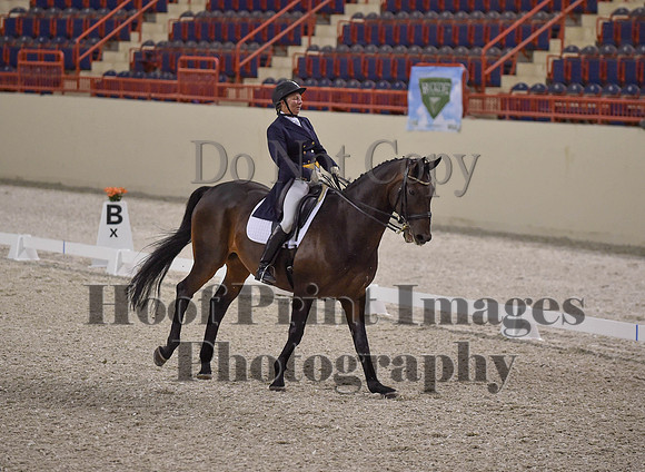 CWdressageI(8-20-16)1619