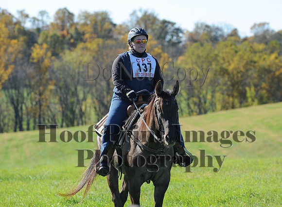 Cheshire(10-19-14)0294