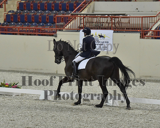CWdressageII(8-21-16)0311