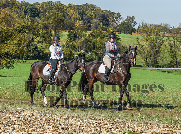 CheshirePC(10-18-20)0409