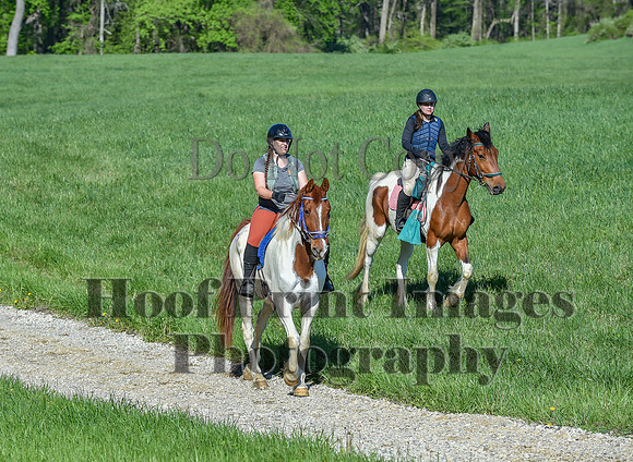 ChesapeakeSpring(4-27-25)0504