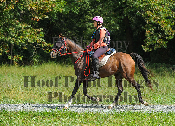 ChesapeakeCTR(9-20-14)0553