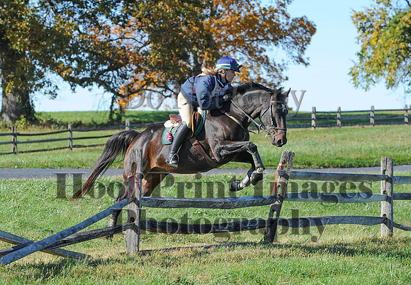 Cheshire(10-19-14)0387