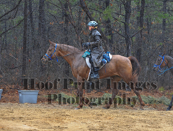 Rabbit(3-29-14)0419