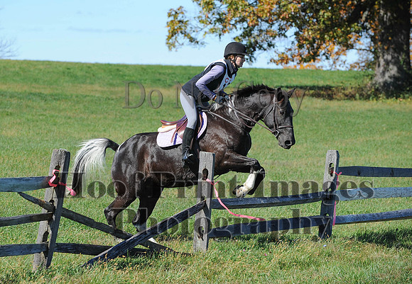 Cheshire(10-19-14)0113