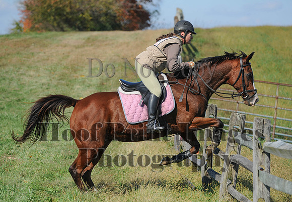 Cheshire(10-20-13)0403