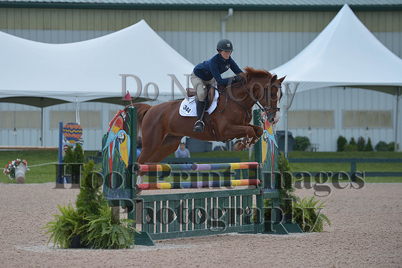 BRSa(5-17-14)HChAdJ0226
