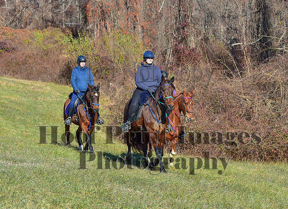 FairHillFallPC(11-30-24)0273
