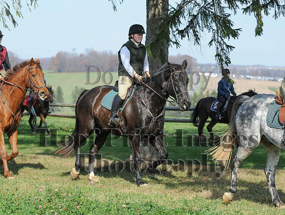 AndrewsBr(11-9-14)0173