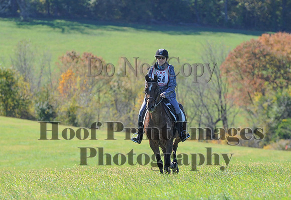 Cheshire(10-19-14)0070