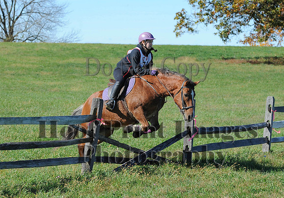 Cheshire(10-19-14)0227