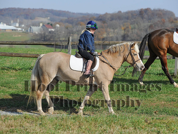 AndrewsBr(11-9-14)0164