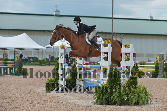 BRSa(5-17-14)HChAdJ0195