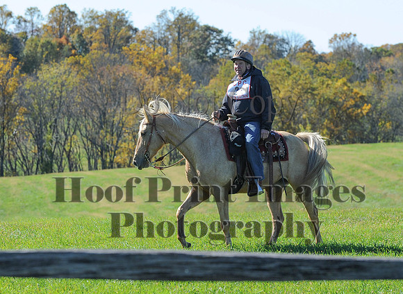 Cheshire(10-19-14)0234