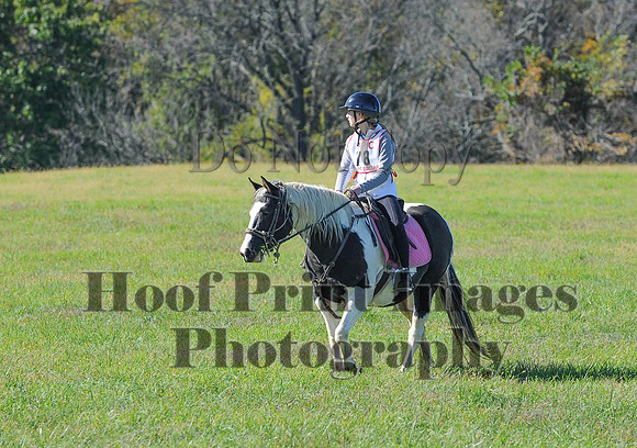 Cheshire(10-19-14)0272