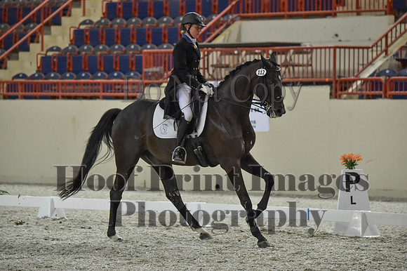 CWdressageI(8-20-16)1483
