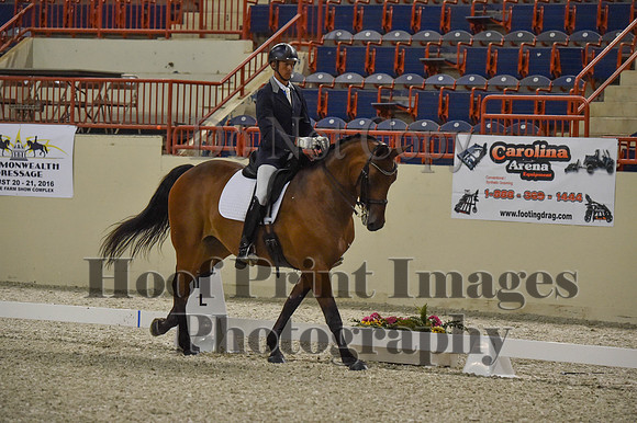 CWdressageI(8-20-16)0491