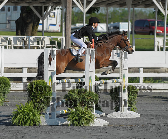 StCSu(5-12-13)PJmp0024