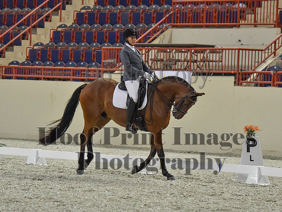 CWdressageI(8-20-16)1171
