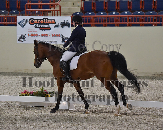 CWdressageII(8-21-16)2117