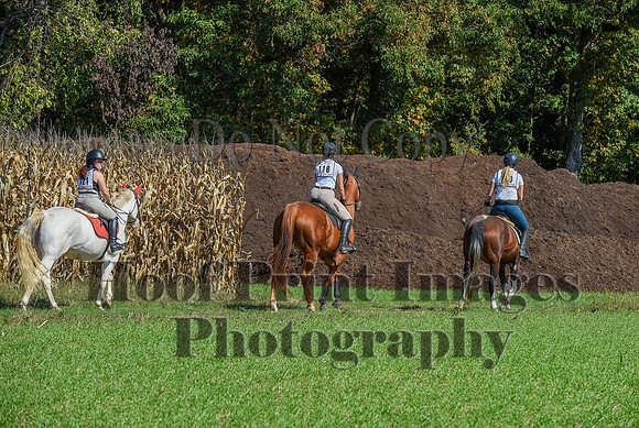 CheshirePonyClubPC(10-6-24)0532