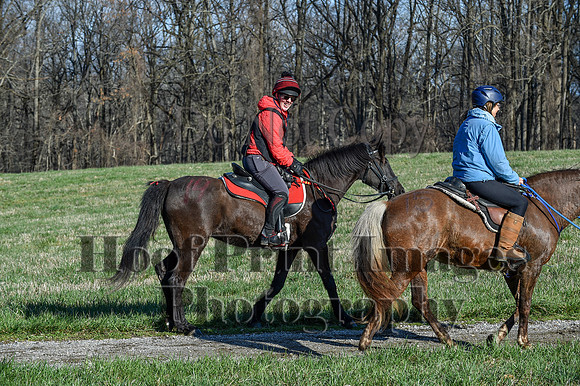 ChesapeakeSpring(4-10-22)0445